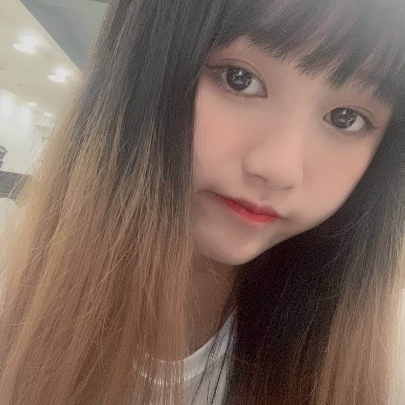 你的小诺的照片