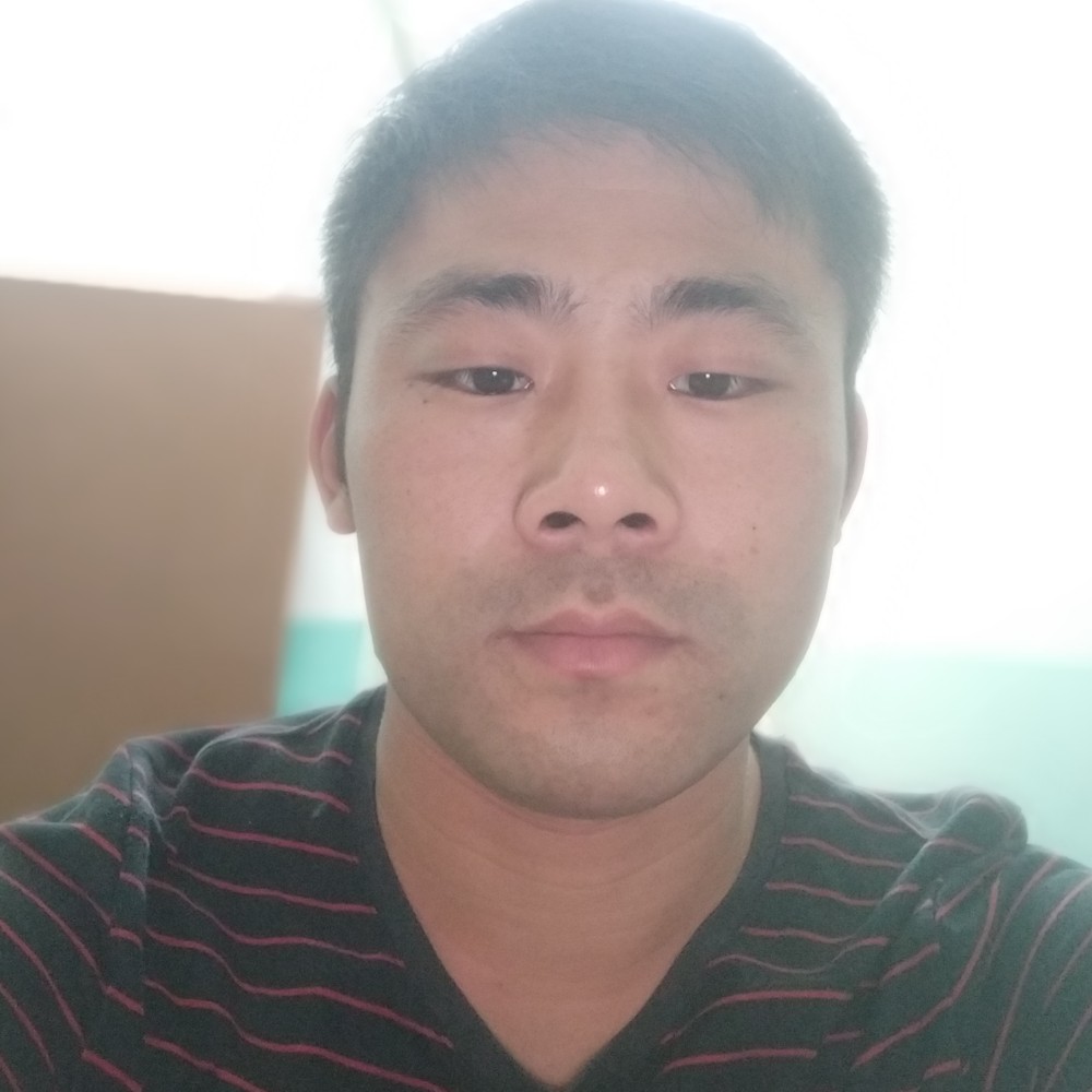 五伍五的照片