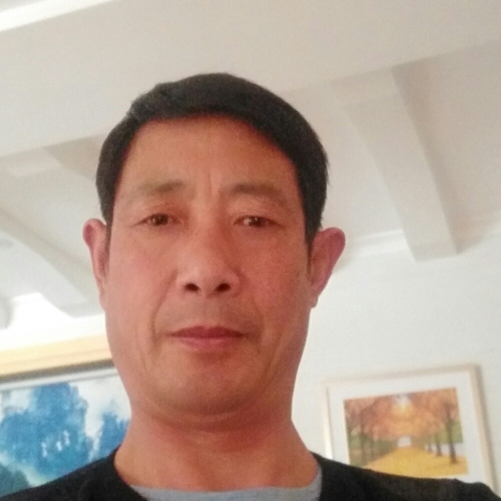 一心一意、的照片
