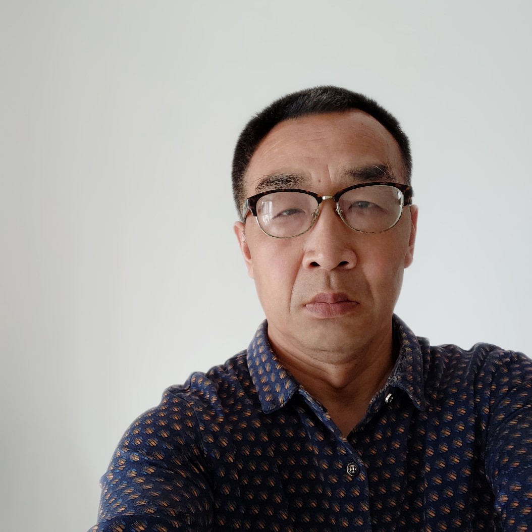 粗心的小鸽子的照片