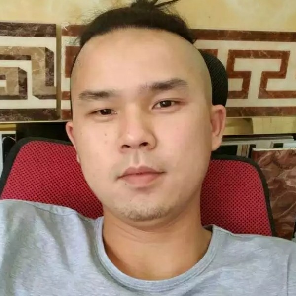 刺猬与陶醉的照片
