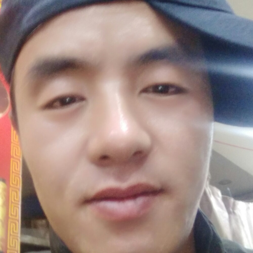 小猫咪回眸无辜的照片
