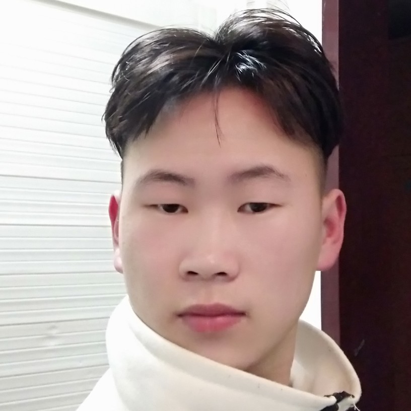 绚烂大炮的照片