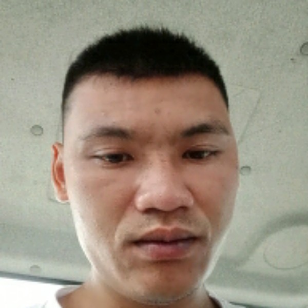 母鸡感动的照片