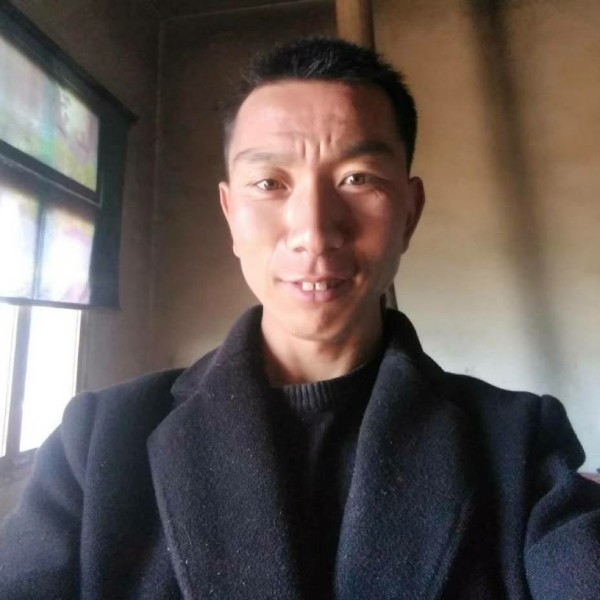 坦率笑崖悔的照片