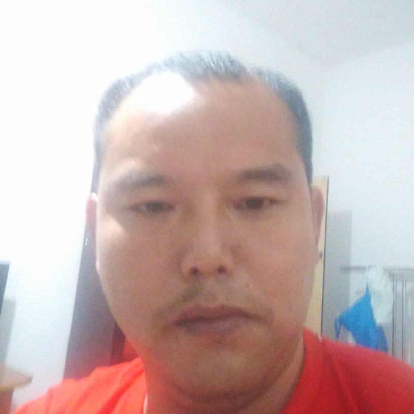 稳重用白猫的照片