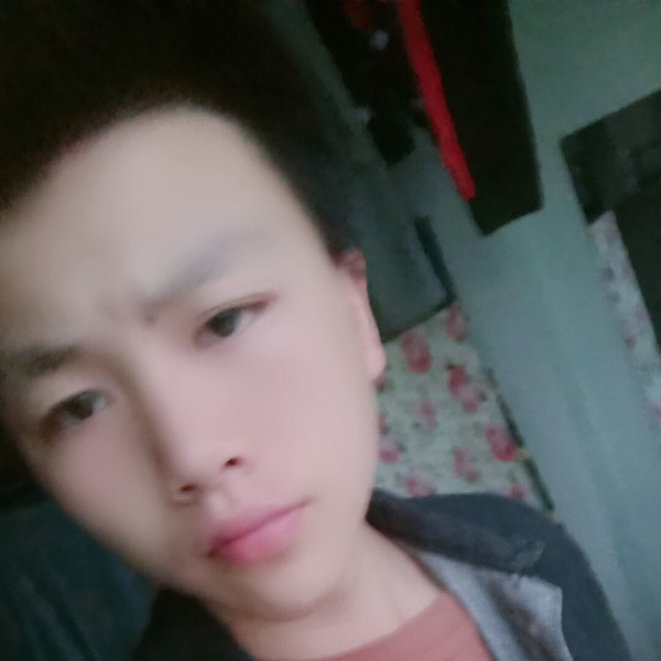 鲸起鲸落的照片
