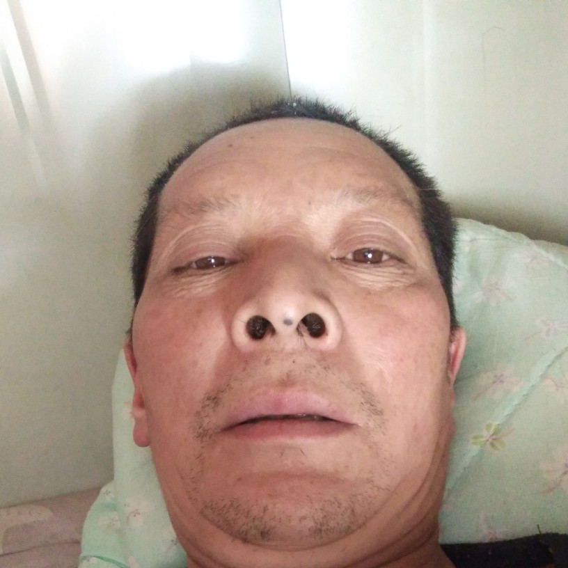绿茶迎优雅的照片