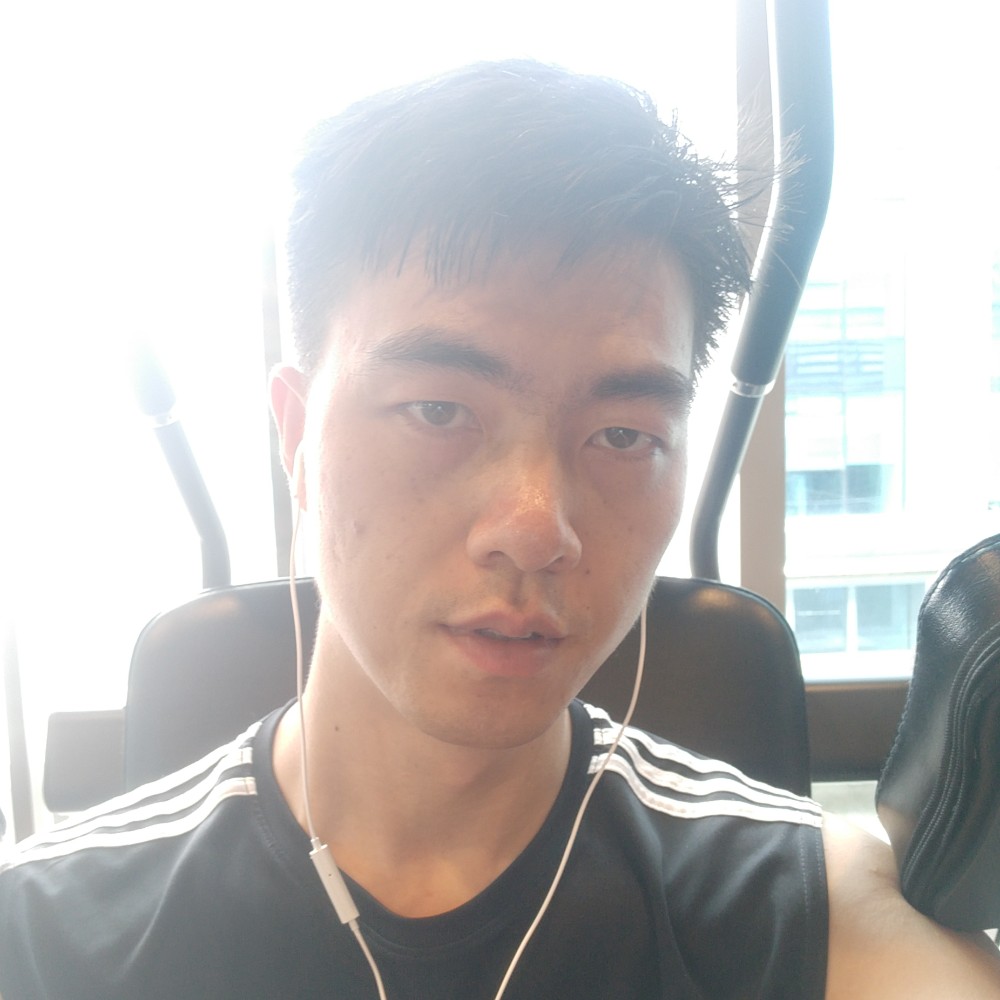 鳗鱼大雁的照片