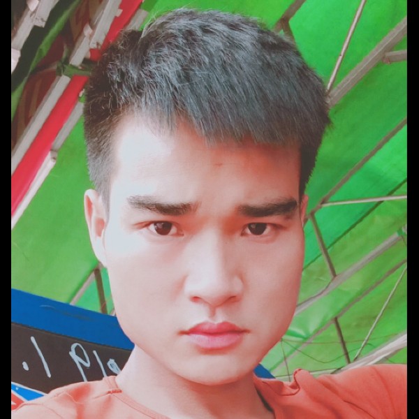 斑马风中的照片
