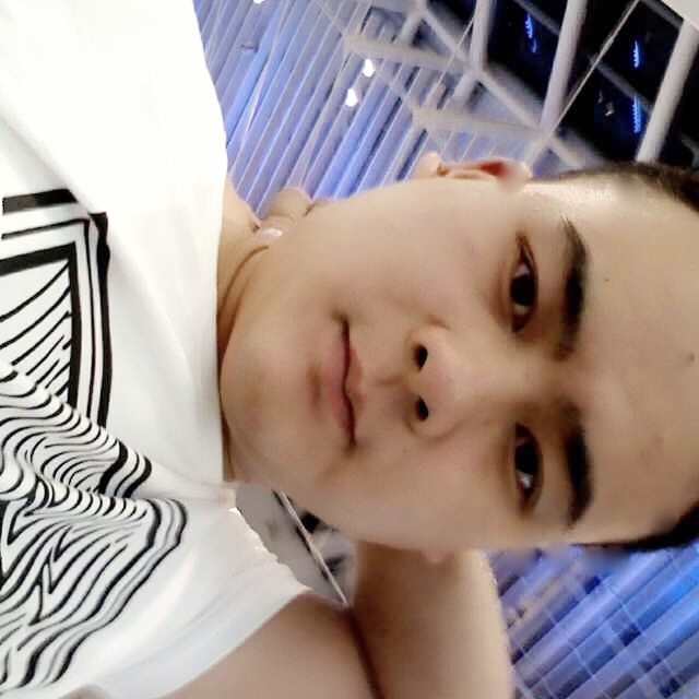 小蜜蜂請从容的照片