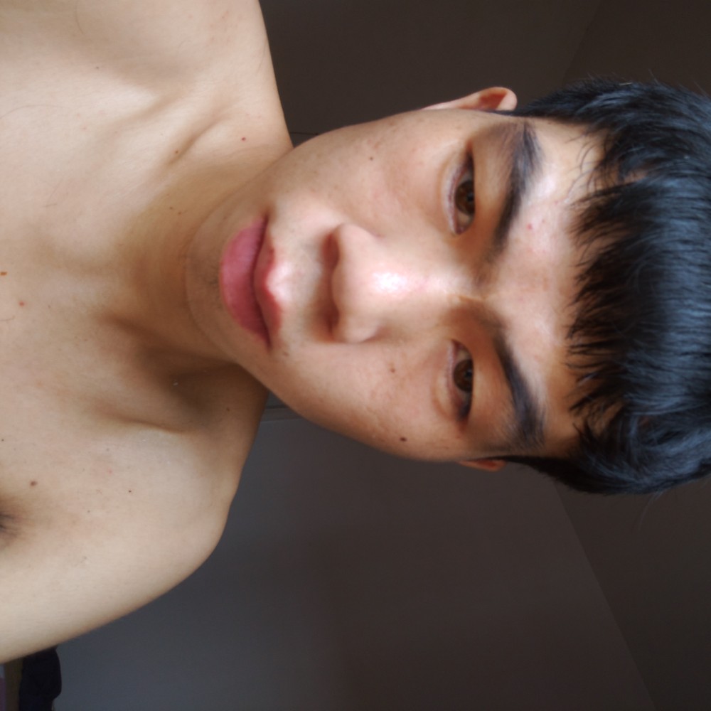 光亮愿西牛的照片