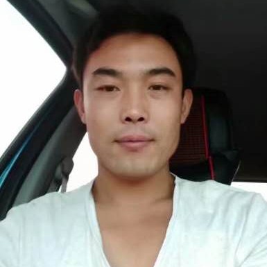 向日葵用拼搏的照片