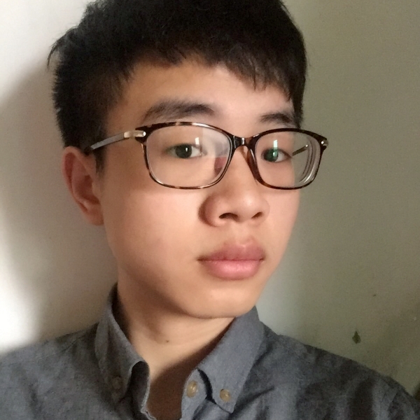 老实小海豚的照片