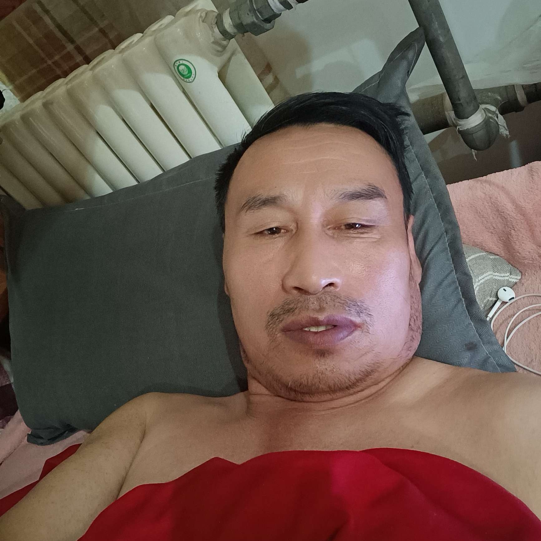 寻找属猪的的照片