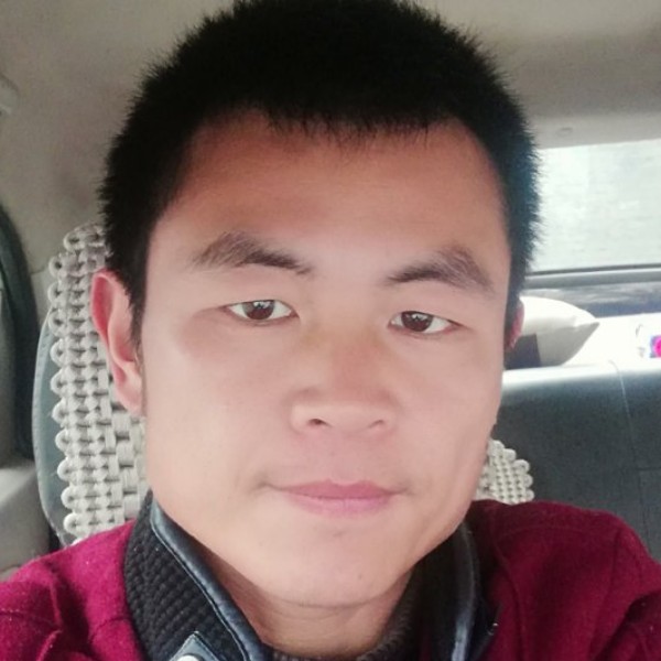 青竹蛇的照片