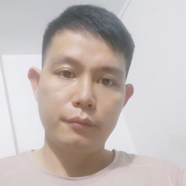 绿色海滨的照片