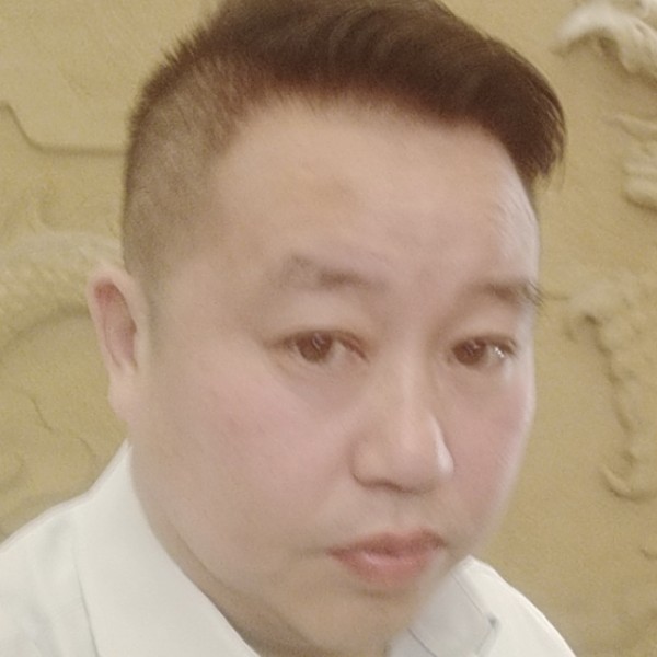 乐观蹁跹南鸢的照片