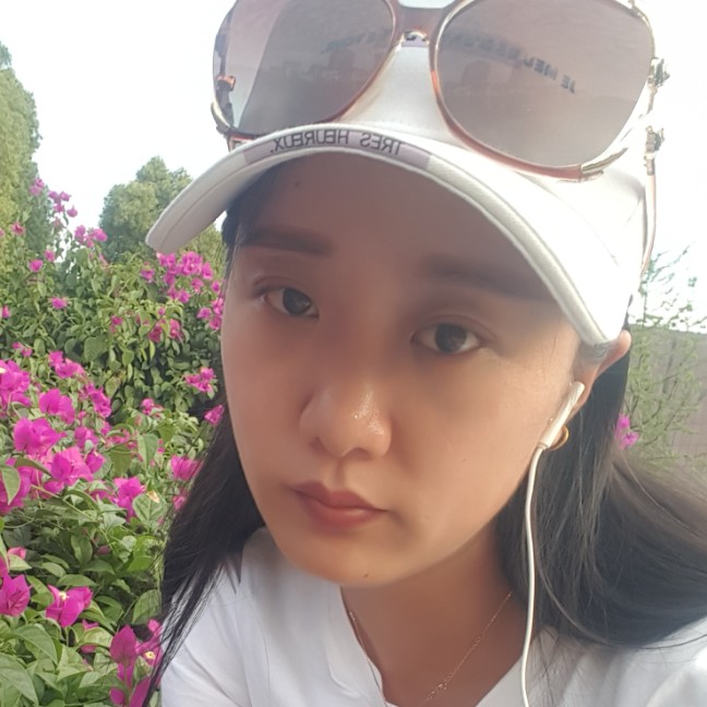 十二景的照片