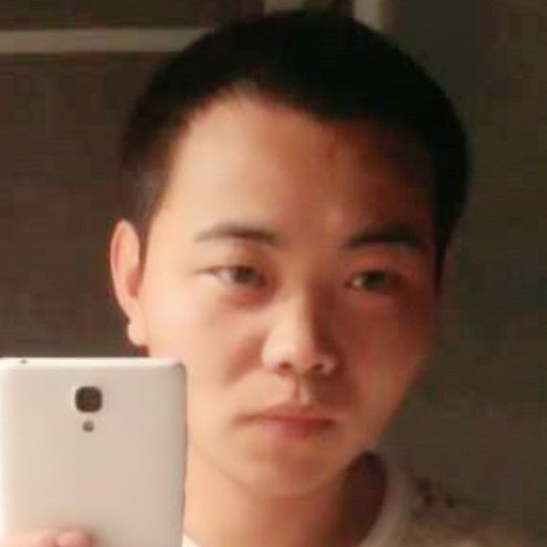活力向日的照片