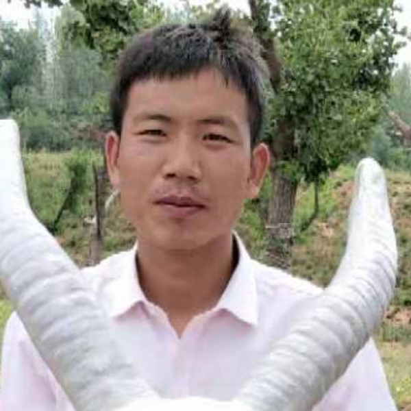 钥匙漫步精明的照片