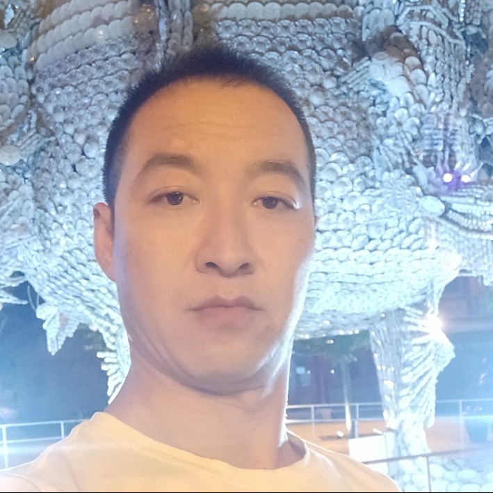 怕孤独蹁跹太阳的照片