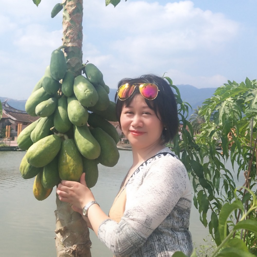 温暖的光~~的照片