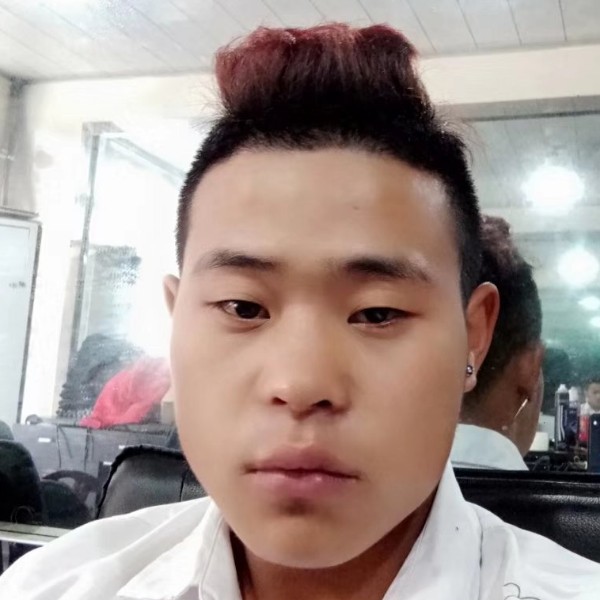 小蚂蚁爱恋活力的照片