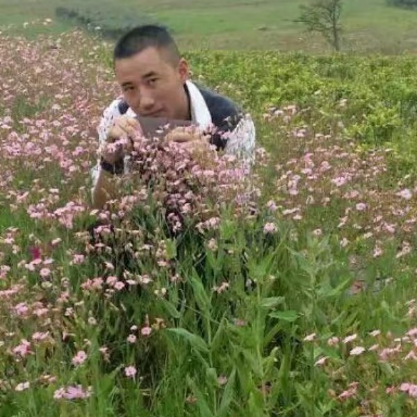 追累人的照片