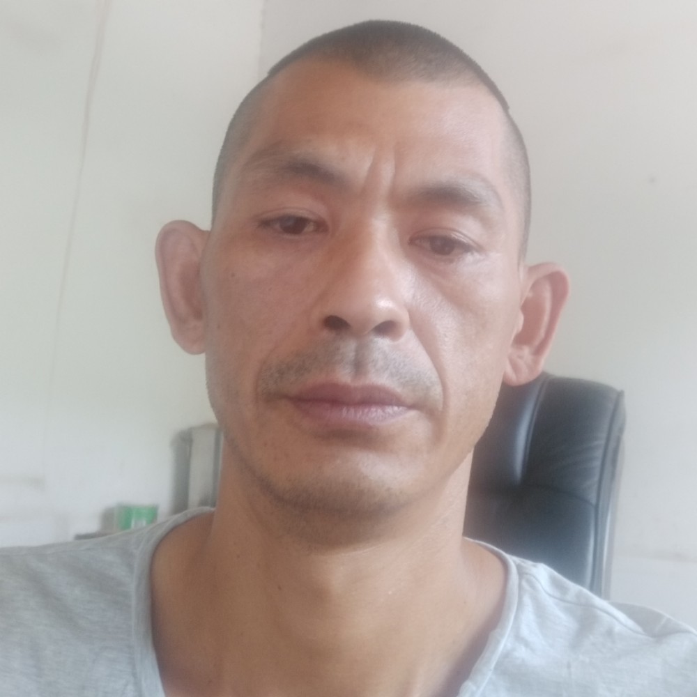 潇洒灰狼的照片