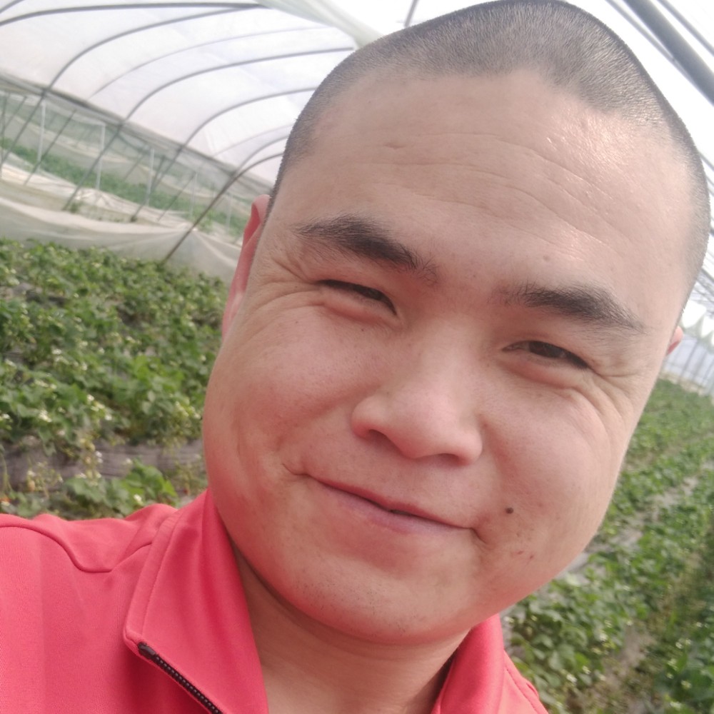 放下一切的的照片