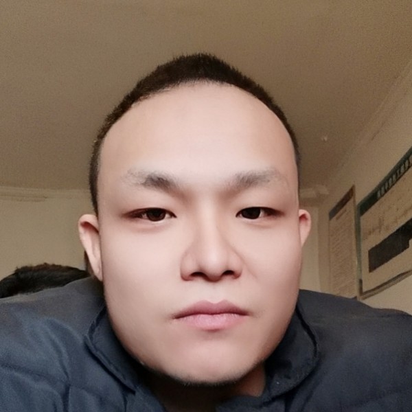 无可奈夏的照片