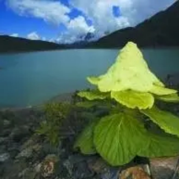 吴福建的照片