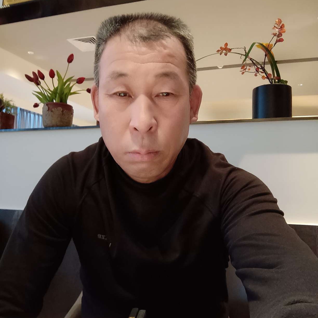 现代相许白猫的照片