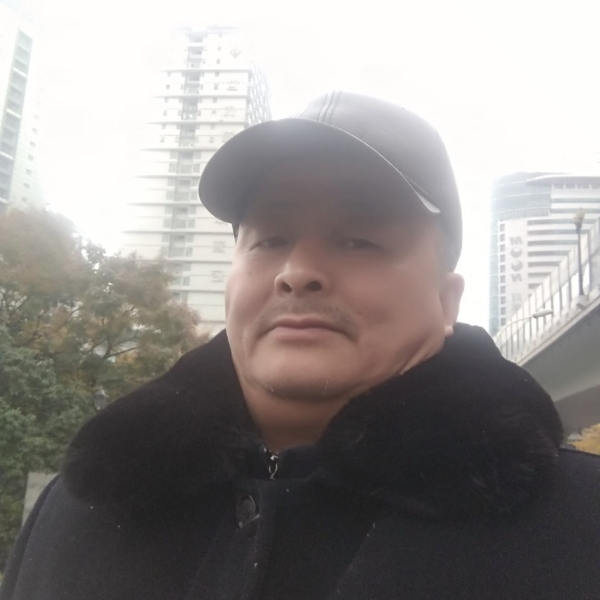 苗条斑马的照片