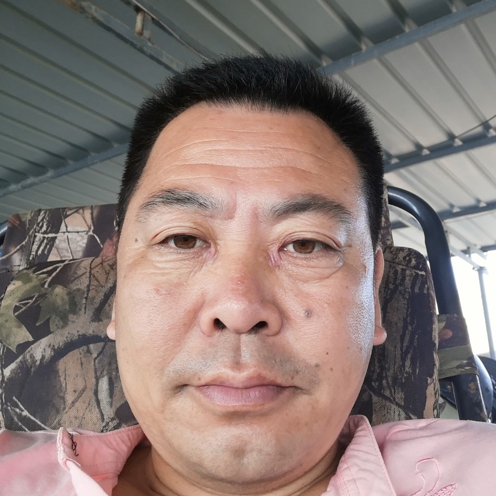 小松鼠和谐的照片