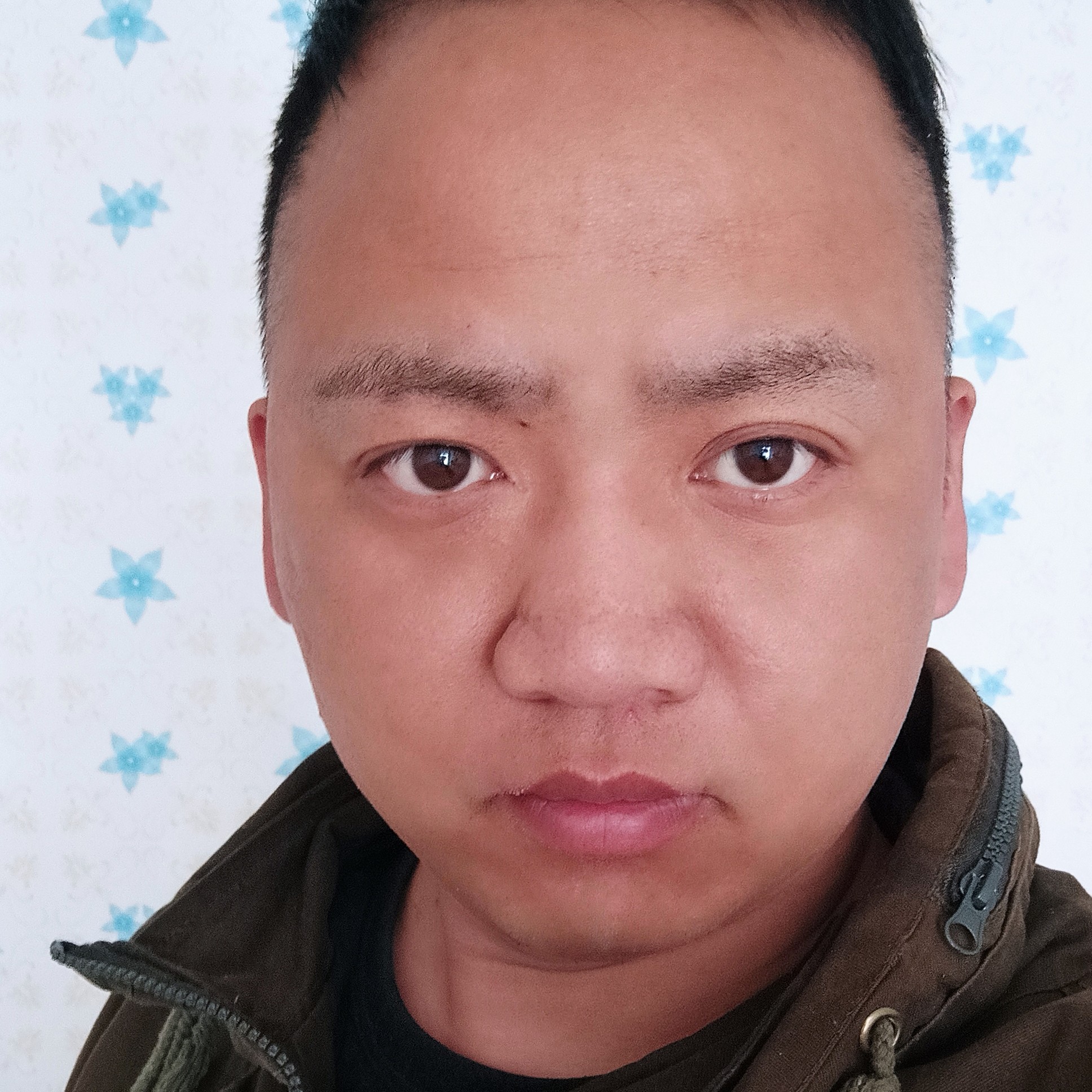 碧影深拥友好的照片