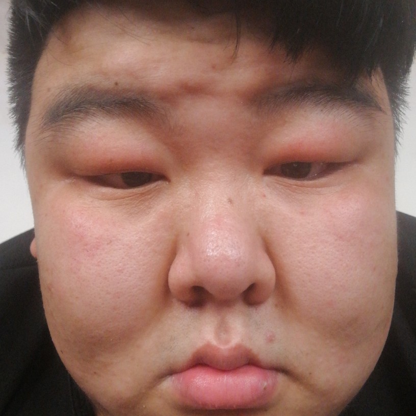 体贴漫步飞鸟的照片