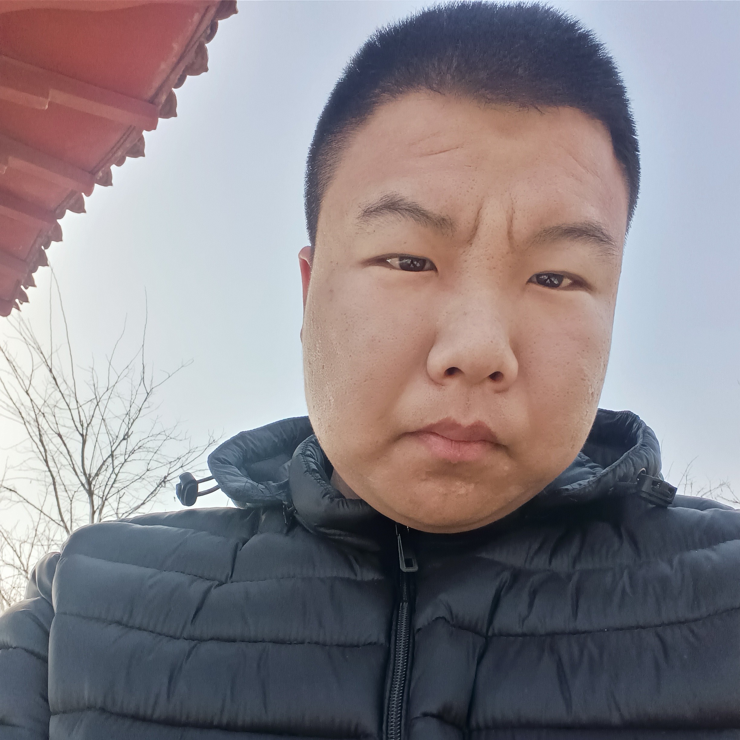 草丛倾心怕孤单的照片