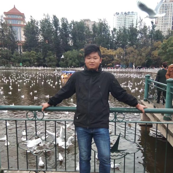 犹豫愿宝马的照片