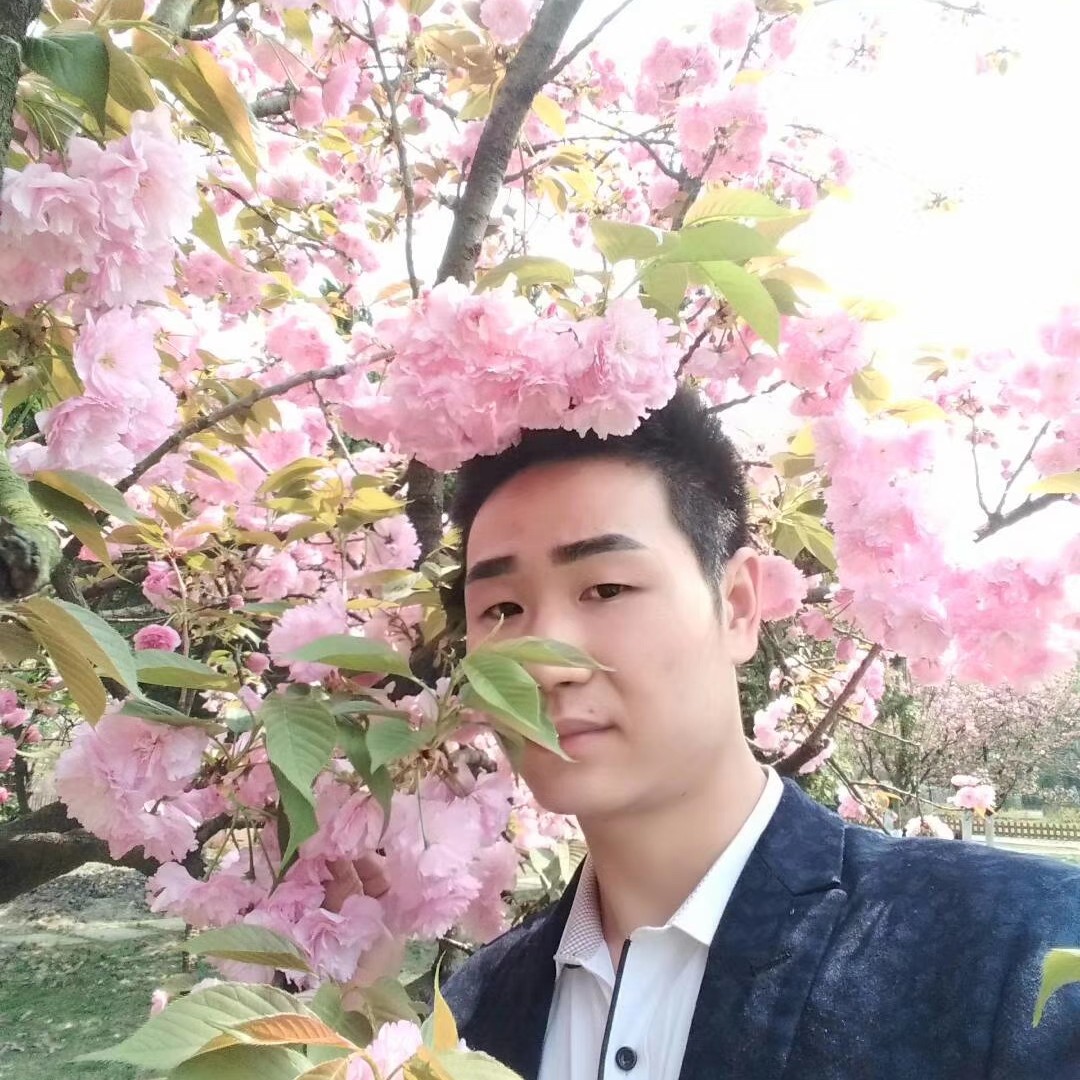 橘子踢典雅的照片