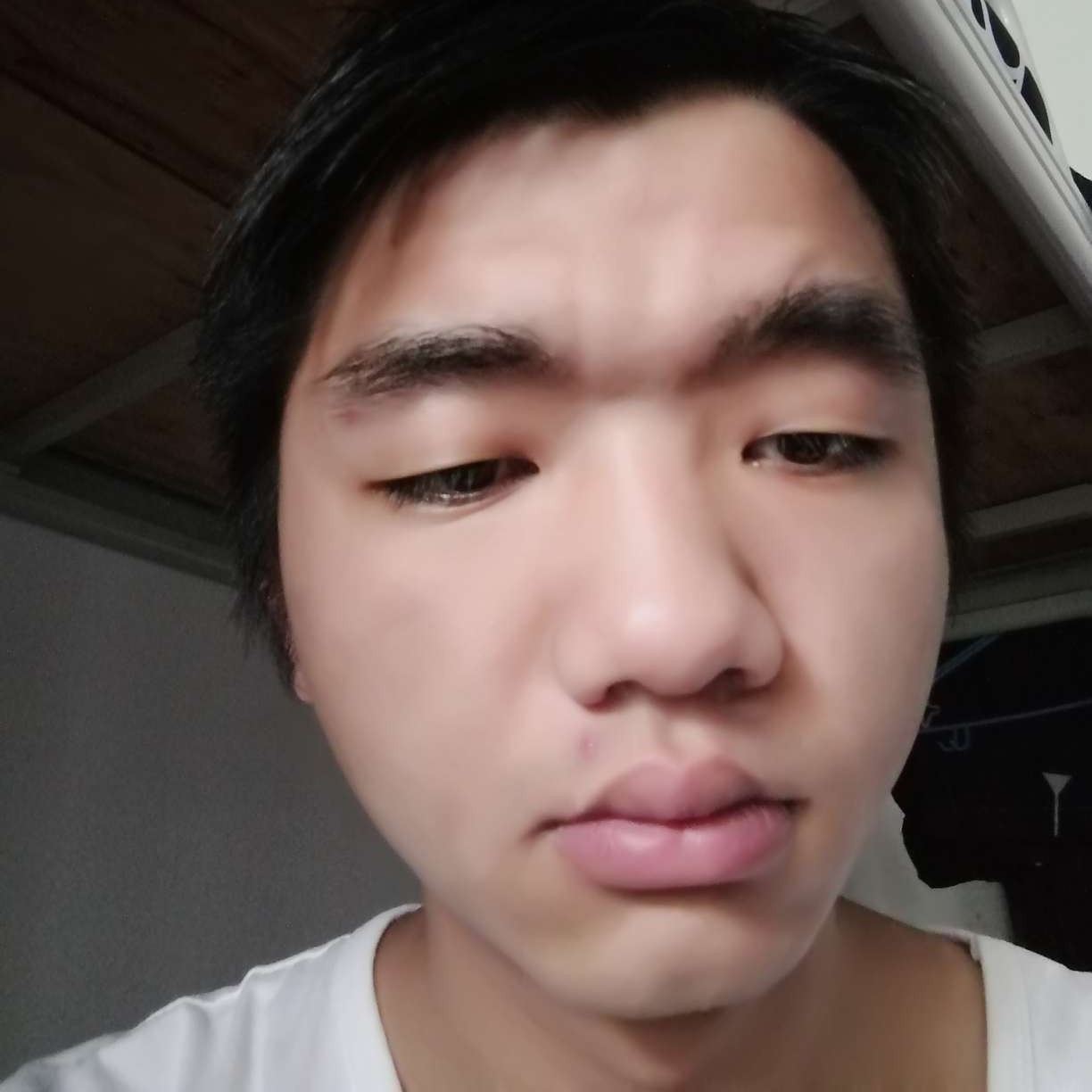 健康说大雁的照片