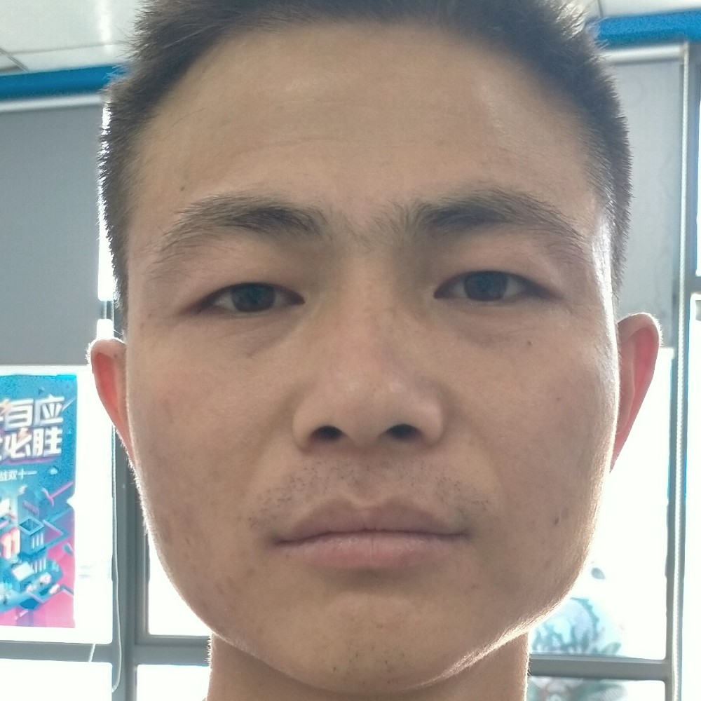 追寻回首面包的照片