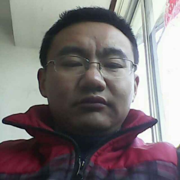 木森林林林的照片