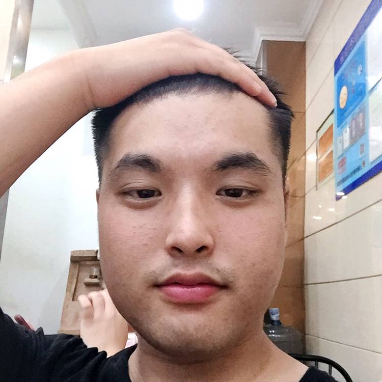 翱翔蓝天下的的照片