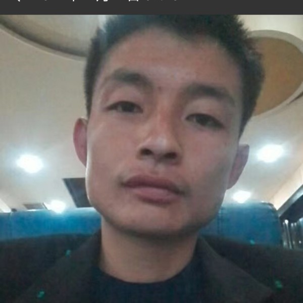 忧郁仙人掌的照片