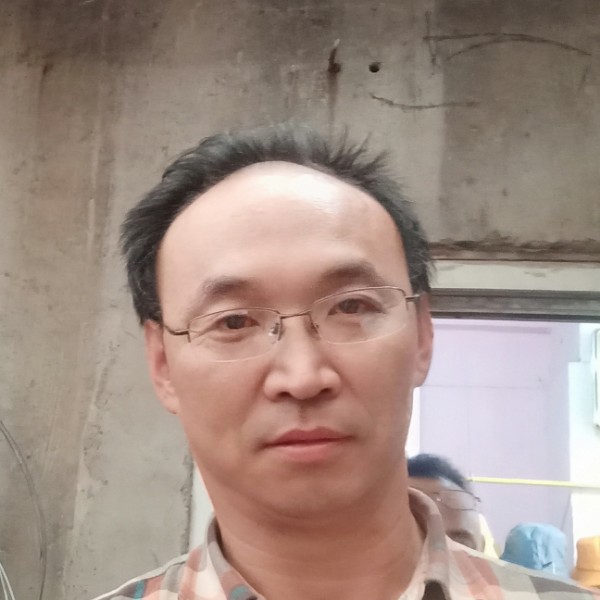 隐形树的照片