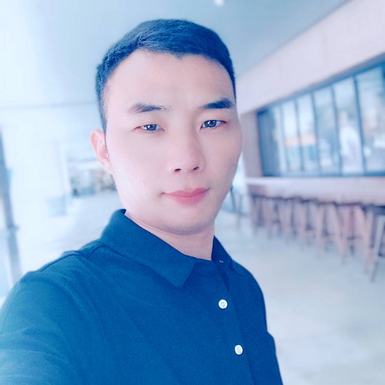 风中猫咪的照片