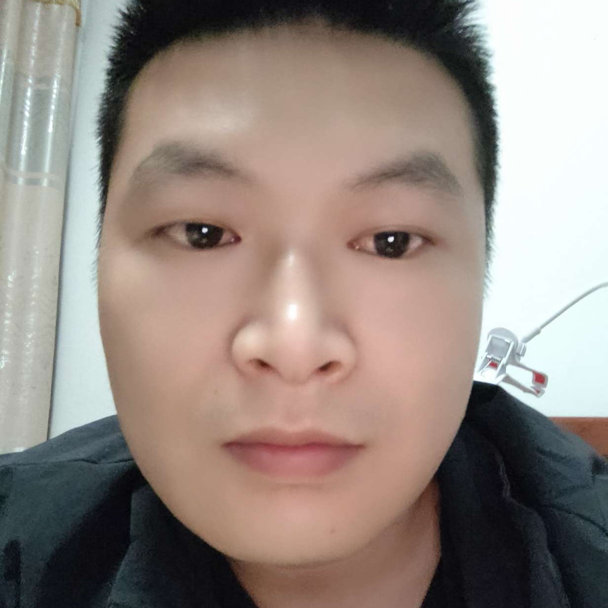 蜜蜂多么英俊的照片