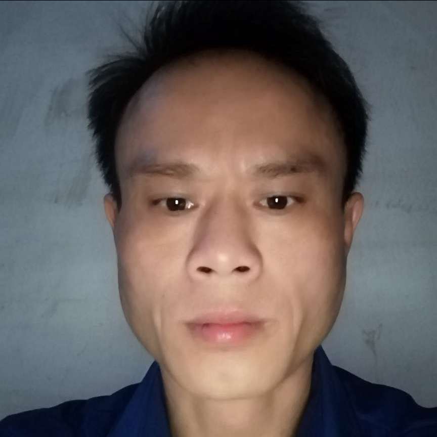 酷炫蹁跹大象的照片